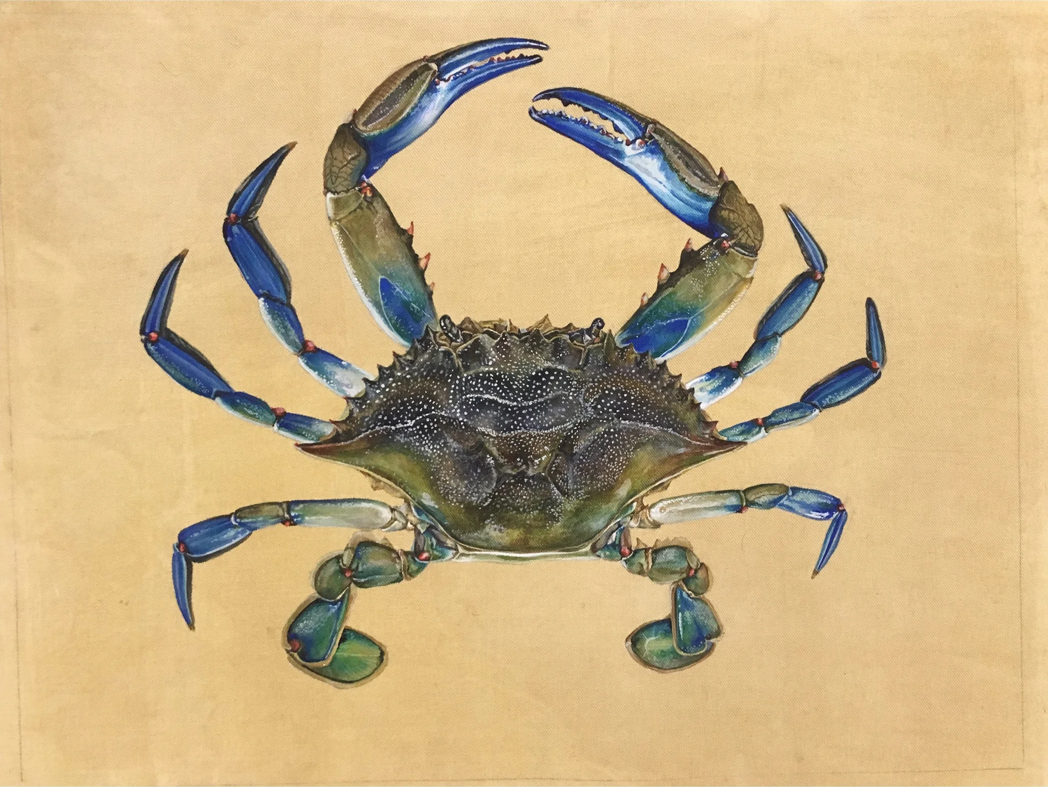 어해도 1